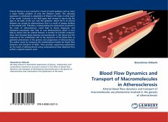 Blood Flow Dynamics and Transport of Macromolecules in Atherosclerosis