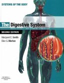 The Digestive System The Digestive System