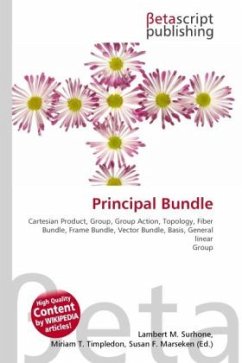 Principal Bundle