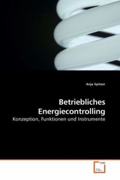 Betriebliches Energiecontrolling - Spitzer, Anja