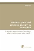 Dendritic spines and structural plasticity in Drosophila