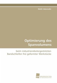 Optimierung des Spanvolumens - Cabaravdic, Malik