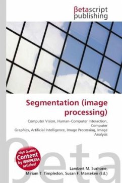 Segmentation (image processing)