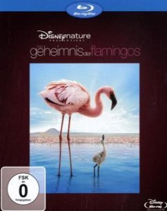 Das Geheimnis der Flamingos