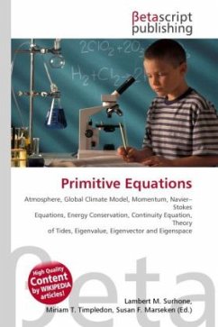 Primitive Equations