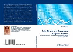 Cold Atoms and Permanent Magnetic Lattices