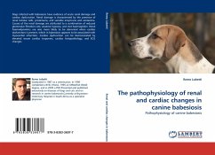 The pathophysiology of renal and cardiac changes in canine babesiosis