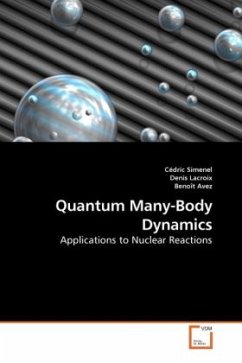 Quantum Many-Body Dynamics - Simenel, Cédric;Lacroix, Denis;Avez, Benoît