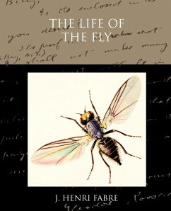 The Life of the Fly