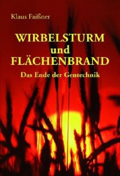 Wirbelsturm und Flächenbrand - Faißner, Klaus