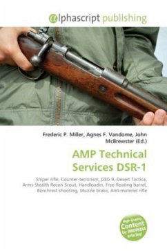 AMP Technical Services DSR-1