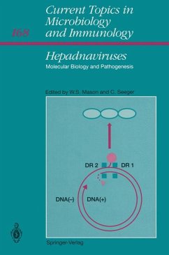 Hepadnaviruses Molecular Biology and Pathogenesis