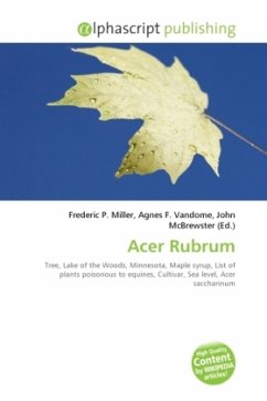 Acer Rubrum