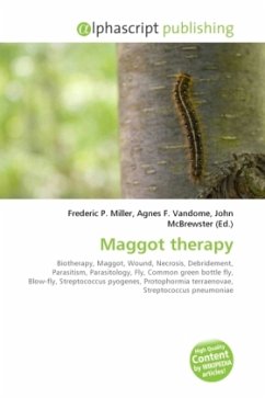 Maggot therapy
