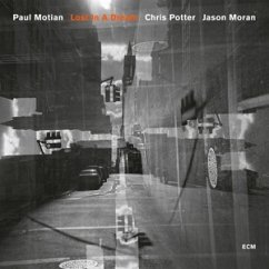 Lost In A Dream - Motian,Paul Trio/Moran,Jason/Potter,Chris