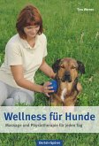 Wellness für Hunde