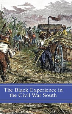 The Black Experience in the Civil War South - Ash, Stephen