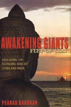 Awakening Giants, Feet of Clay - Bardhan, Pranab