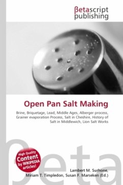 Open Pan Salt Making