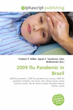 2009 flu Pandemic in Brazil