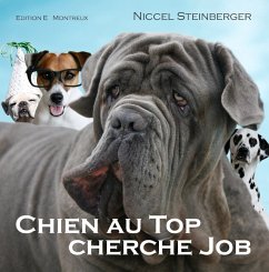 Chien au Top cherche Job - Steinberger, Niccel