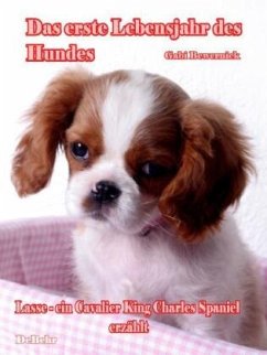 Das erste Lebensjahr des Hundes Lasse - ein Cavalier King Charles Spaniel erzählt - Bewernick, Gabriele