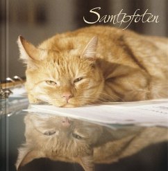 Cover Samtpfoten