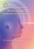 Sinnesorgane - Wunderwerk der Kommunikation