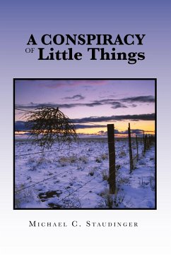 A Conspiracy of Little Things - Staudinger, Michael C.