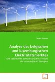 Analyse des belgischen und luxemburgischen Elektrizitätsmarktes