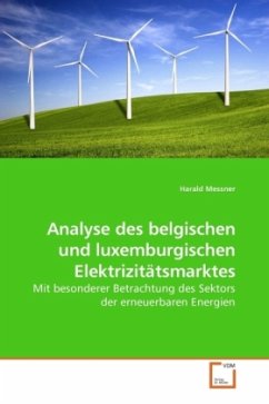 Analyse des belgischen und luxemburgischen Elektrizitätsmarktes - Messner, Harald