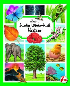 Dein buntes Wörterbuch Natur - Kindebruch - Beaumont, Emilie und Bernard Alunni