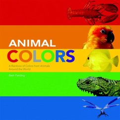 Animal Colors - Fielding, Beth