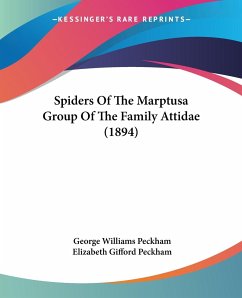 Spiders Of The Marptusa Group Of The Family Attidae (1894) - Peckham, George Williams; Peckham, Elizabeth Gifford
