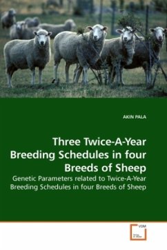 Three Twice-A-Year Breeding Schedules in four Breeds of Sheep - PALA, AKIN