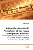 Is it really a New Deal? Perceptions of the young unemployed in the UK