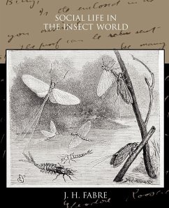 Social Life in the Insect World - Fabre, J. H.