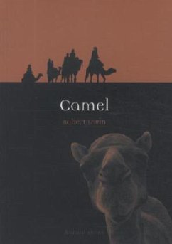 Camel - Irwin, Robert