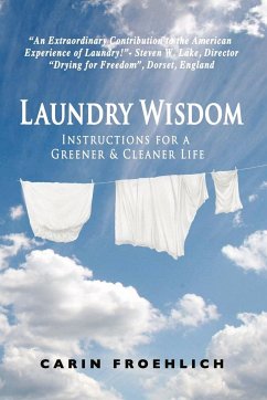 Laundry Wisdom - Carin Froehlich, Froehlich