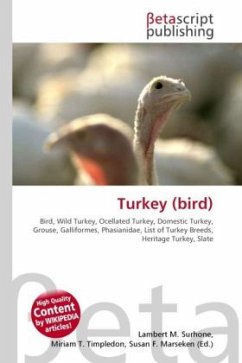 Turkey (bird)