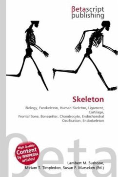 Skeleton