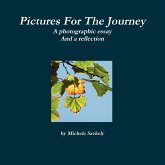 Pictures for the Journey