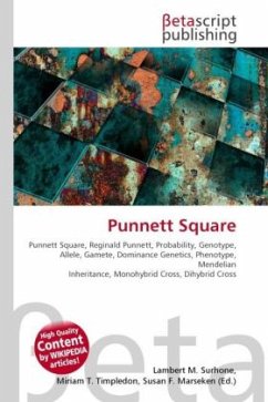 Punnett Square