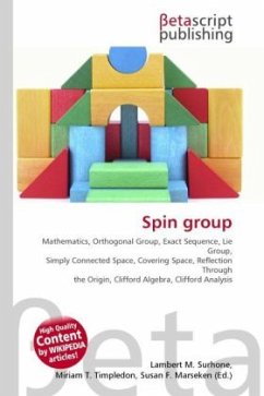 Spin group