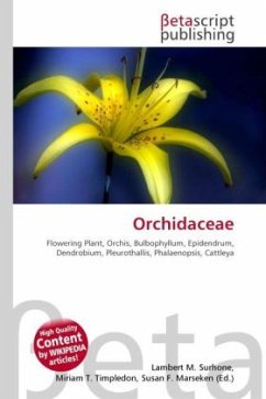 Orchidaceae