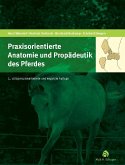 Praxisorientierte Anatomie und Propädeutik des Pferdes