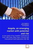 Angola, an emerging market with potential and risk