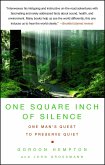 One Square Inch of Silence