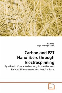 Carbon and PZT Nanofibers through Electrospinning - Wang, Yu;Santiago-Avilés, Jorge