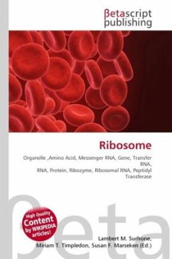 Ribosome